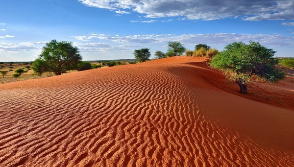 Desierto del Kalahari